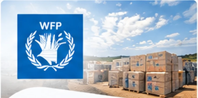 World Food Programme (WFP) visual featured in Abrish’s company-profile design